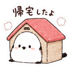Shima Enaga Daily Message Stickers2