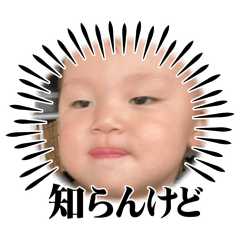 ami_20260614125550