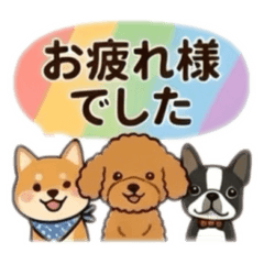 Every day Colorful dog's_Tanchoko Shop