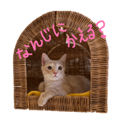 suzume_20260620222705
