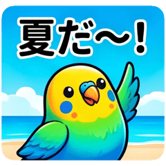 Summer Invite Parakeet