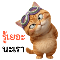 Chubbycat-เหมียวขี้แซะ