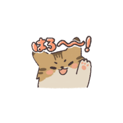 hakumai&cat_20260617043606