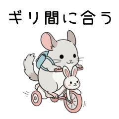 Yurutto Chinchilla College Life