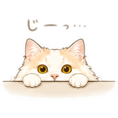 neko_20260620213150