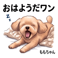 Momo Cute Daily Stickers Vol02