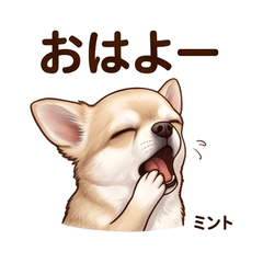 Chihuahua Greeting Stickers Vol01