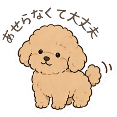 Gentle Care & Support from Dog Friends