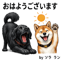 Sora and Ran Daily Stickers Vol01