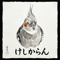 Cockatiel Kabochim3