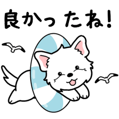 やさしいウエスティ『基本セット』