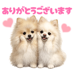 DOG STAMP ORDER_20260622135716