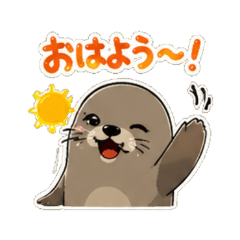 Northern fur seal - Daily Chat Stickers
