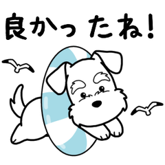 Dog sticker.#20 Schnauzer