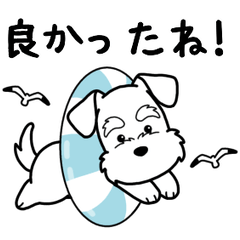 やさしいシュナウザー『基本セット』