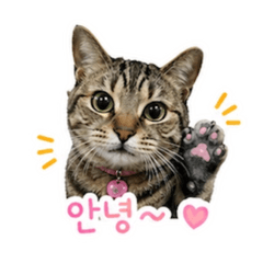Chanom and Khaimook_20260501120900