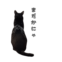 Ami_20260610183051