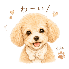 asami_20260610183755