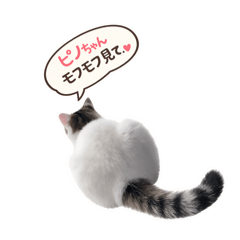 Pan_20260610185416