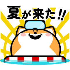 【夏】おでぶシバイヌ3（毎日つかえる）
