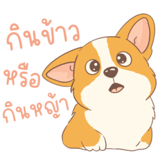 ชิบะอ้วงอ้วน ตัวป่วน