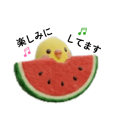 boo_20260622114441