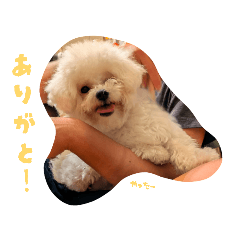 sakipon_20260610170052