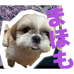 hiro_20260610171021