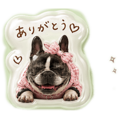 MUGICHA_20260610174156