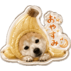 YUKA_20260610173637