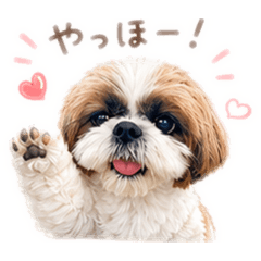 chihiro_20260610181108