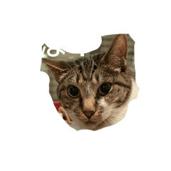 s_20260610181641