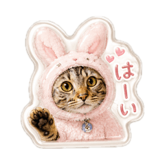 Miki_20260610181819