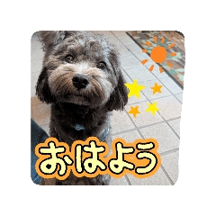 hacha_20260610182745