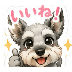 kP_20260610190138
