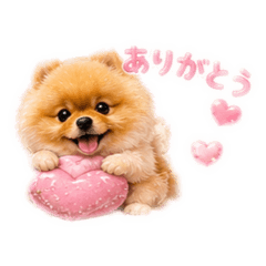 ami_20260610191040