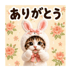merumyu_20260610192920