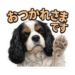 chiemaro_20260610195102