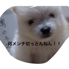 Kaityan_20260610185407