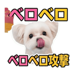 M take86_20260610194920