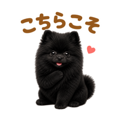 mao_20260610194441