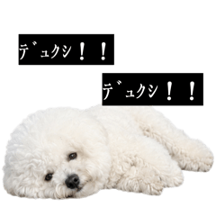 sundayo_20260610195757