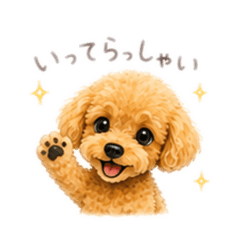 pipo_20260610195605