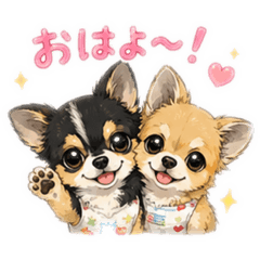 Sora coco Momo