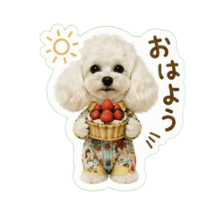song june_20260610201745