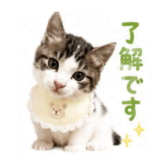 merumyu_20260610202504