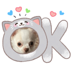 Mimi_20260610202849