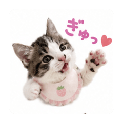 merumyu_20260610202616