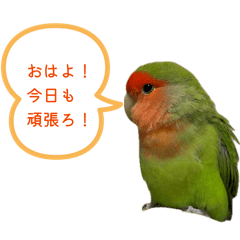 Yuki_20260610203341