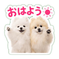 pottsu_20260610203212